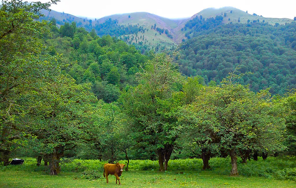 تصویر مقاله