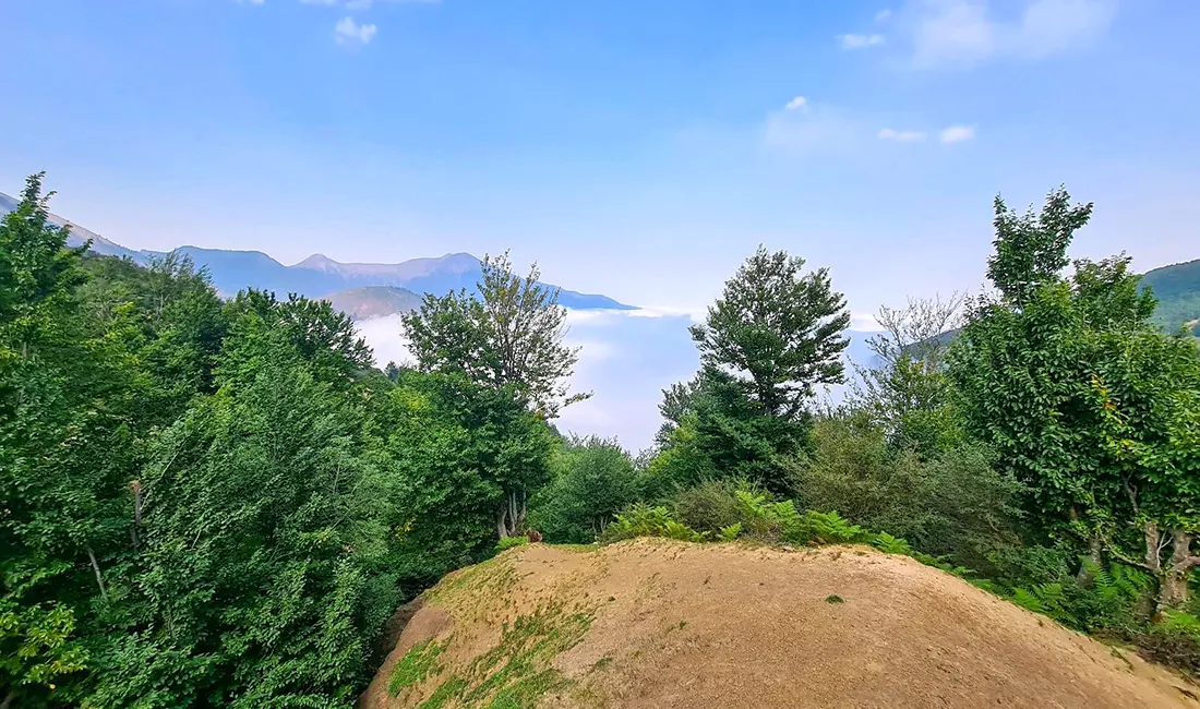 تصویر مقاله