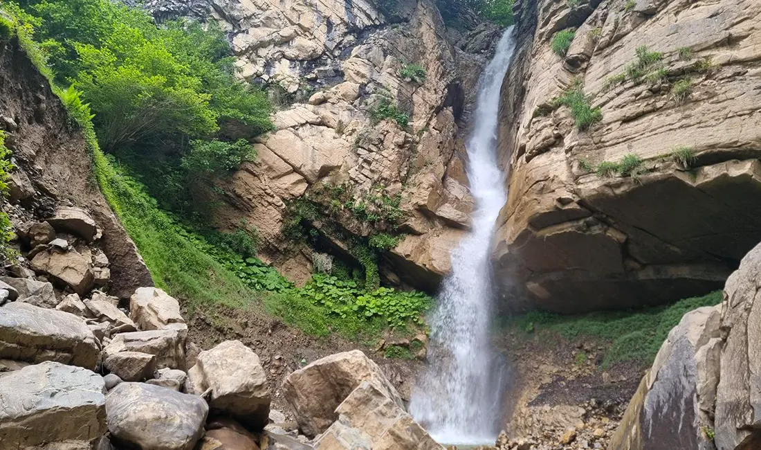 تصویر مقاله