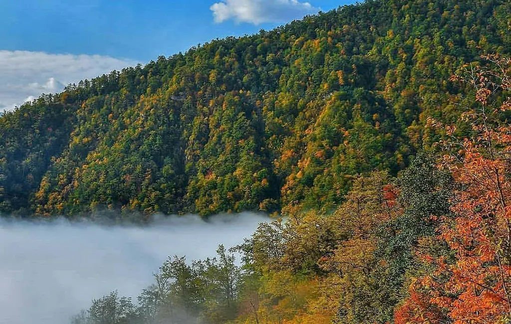 تصویر مقاله