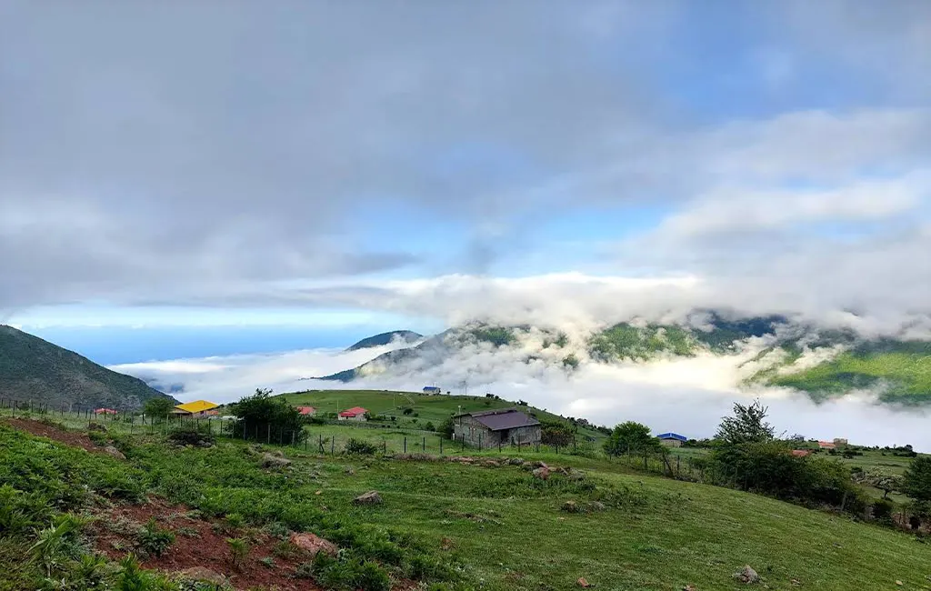 تصویر مقاله
