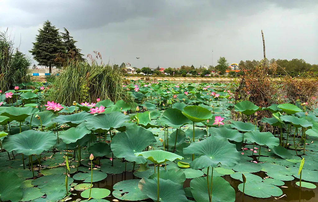 تصویر مقاله