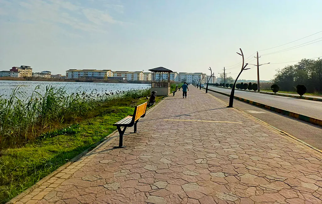 تصویر مقاله