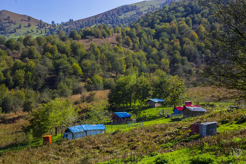 تصویر گالری مقصد