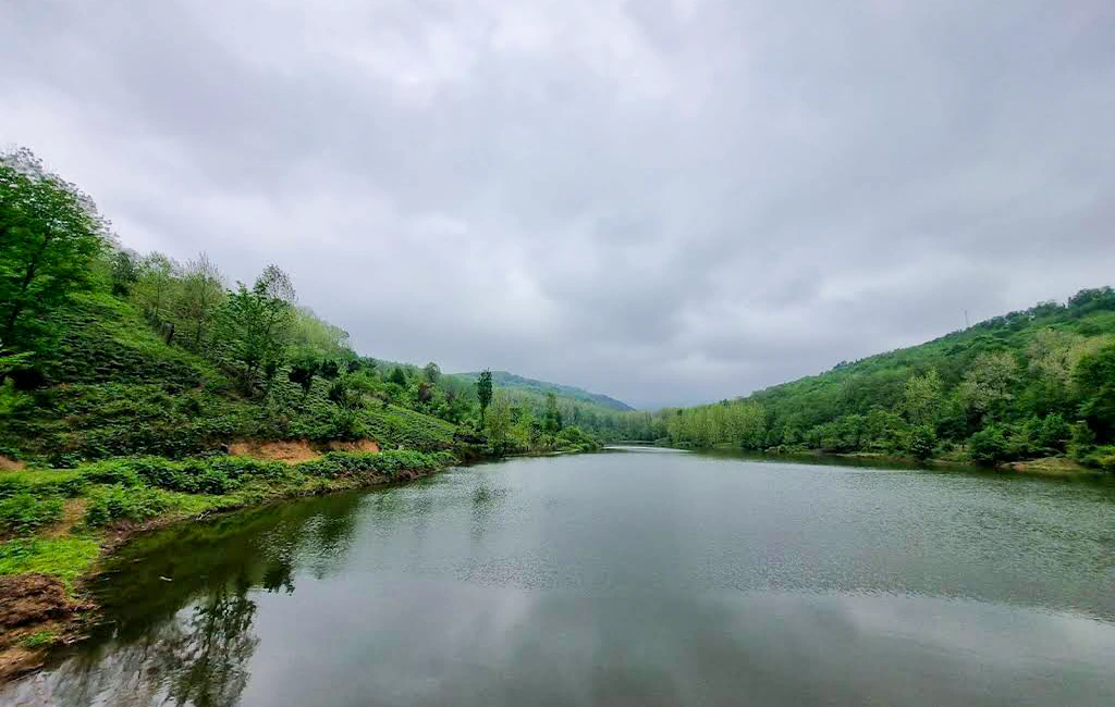 تصویر گالری مقصد