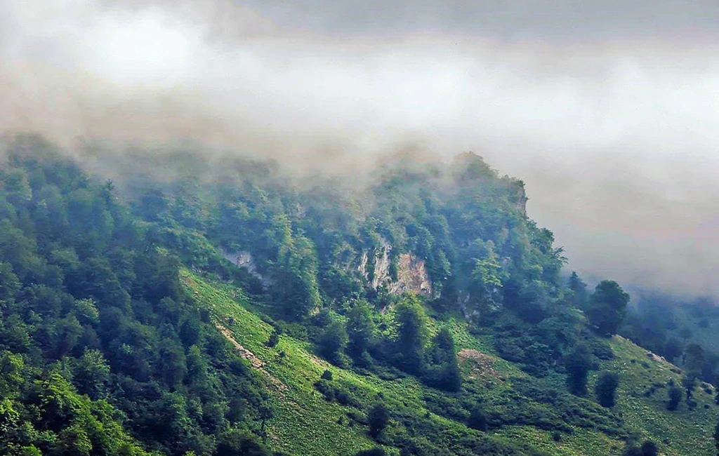تصویر گالری مقصد